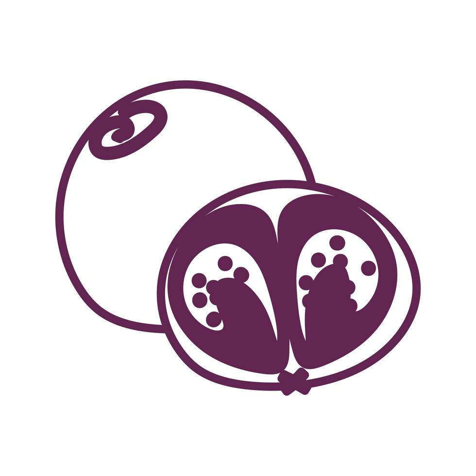 fresh lulo fruit isolated icon vector