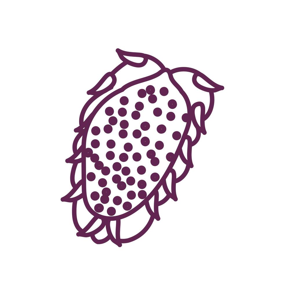 fresh wild fruit isolated icon vector