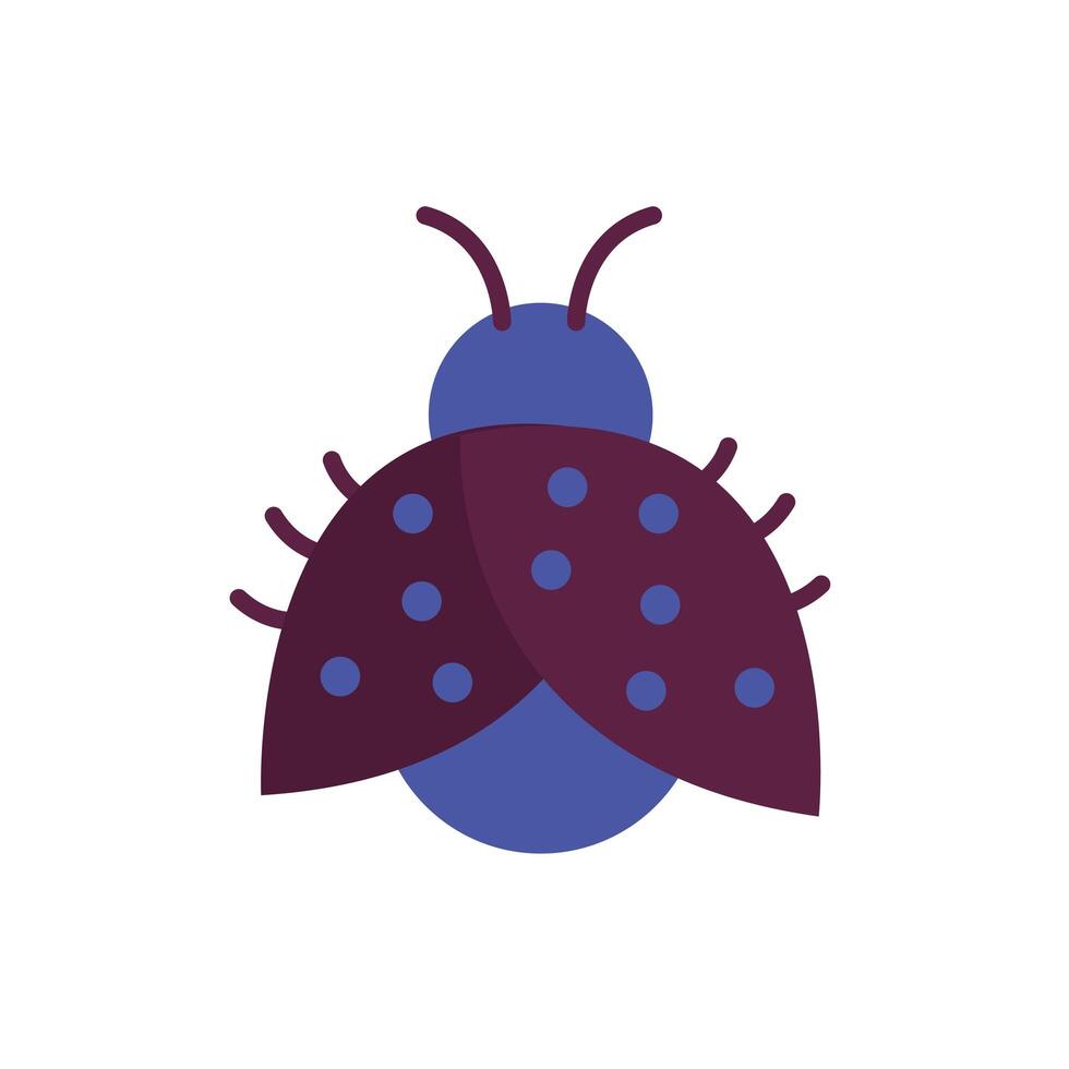 cute ladybug spring insect flat style vector