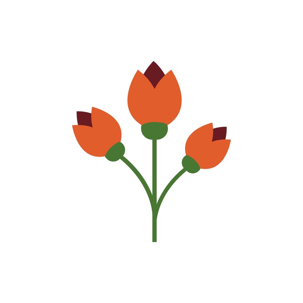 beautifull flower garden spring flat style vector