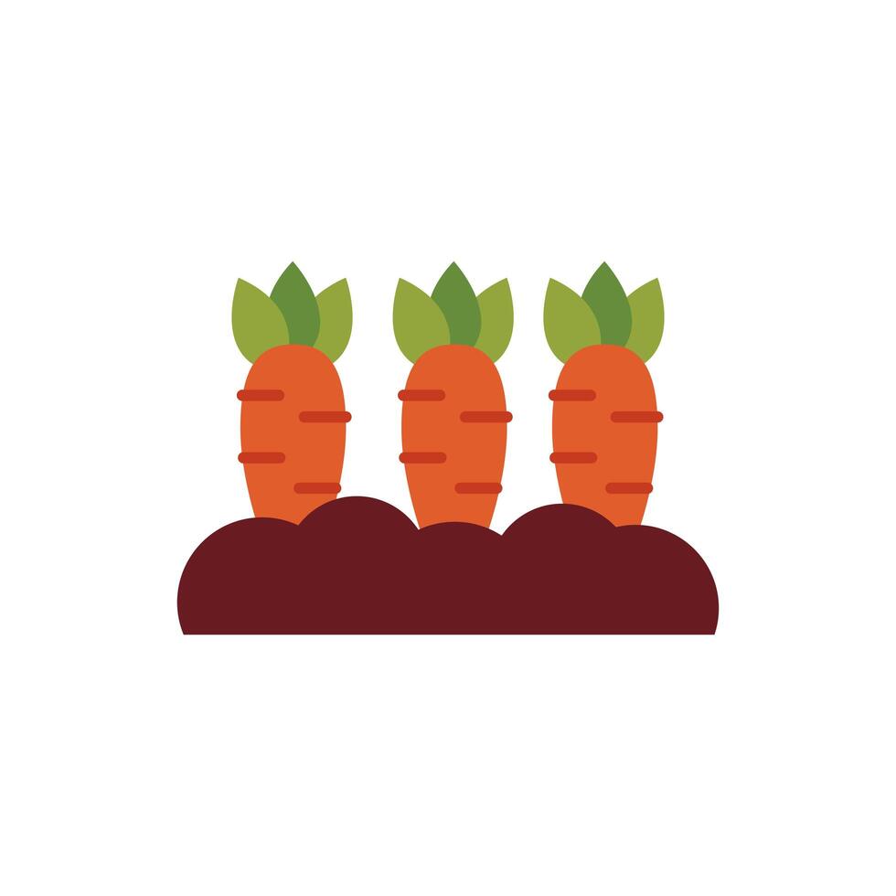 fresh carrots vegetables flat style vector