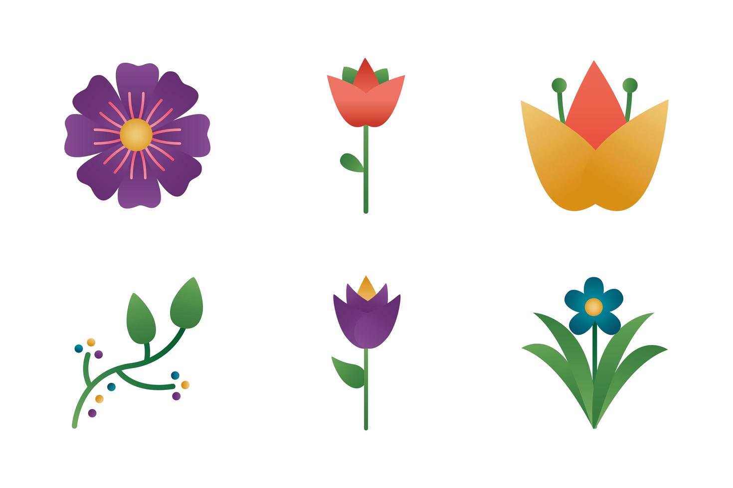 paquete de flores iconos de estilo degradado vector