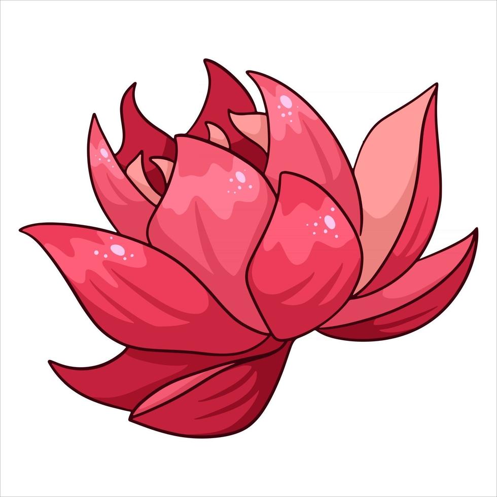 Tropical plant bright flower in cartoon style 2660977 Vector