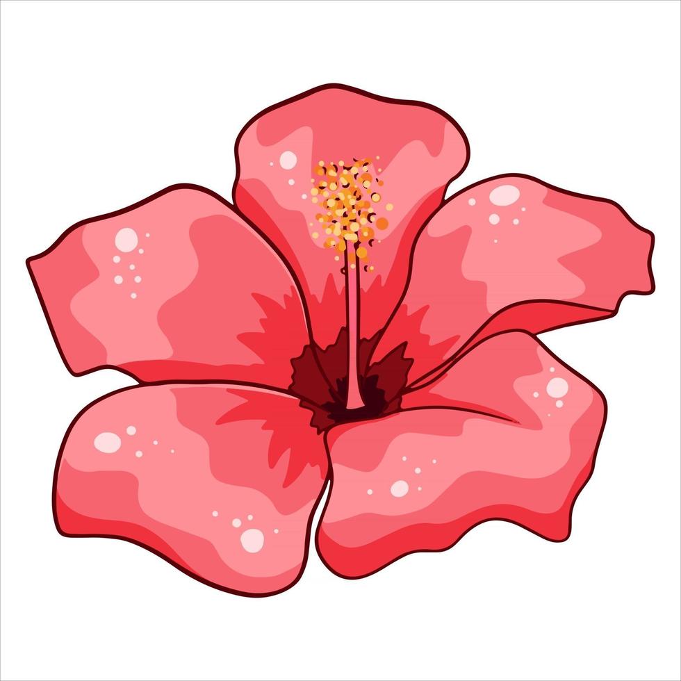 Tropical plant bright flower in cartoon style vector