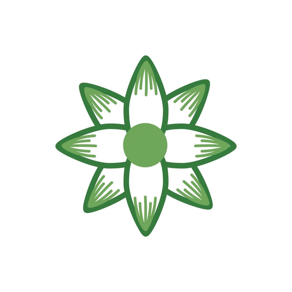 cute flower spring half color style icon vector