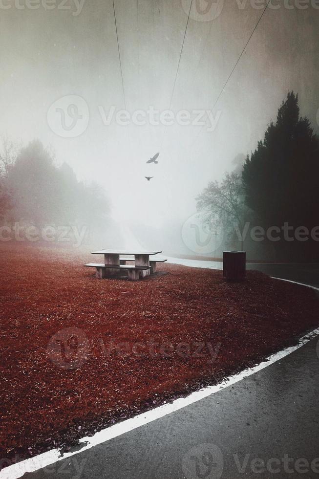 road in the mountain in springtime photo