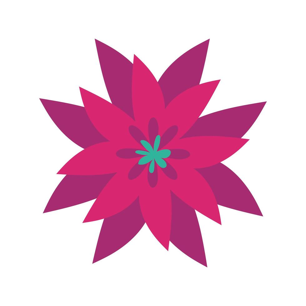 beautiful flower decoration isolated icon vector