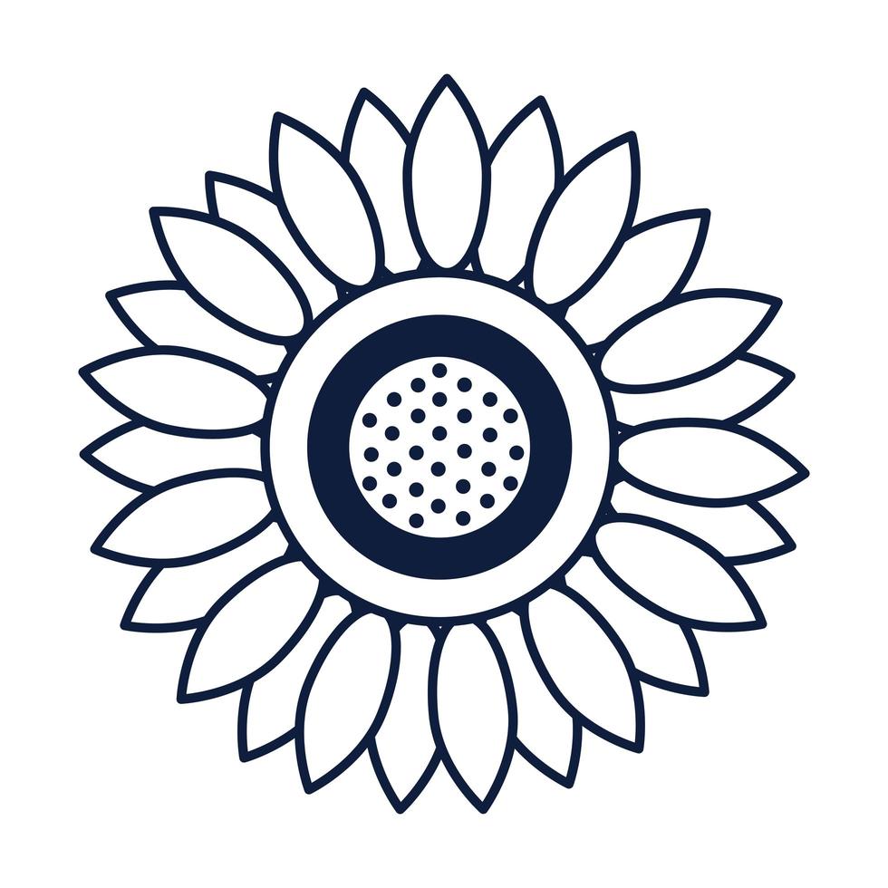 beautiful sunflower decoration isolated icon vector