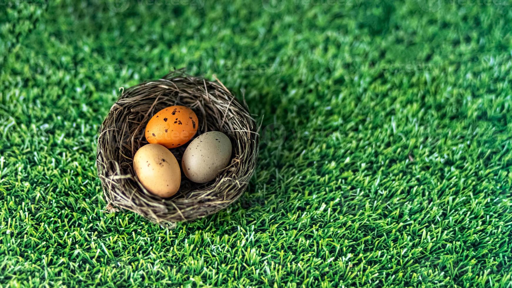 huevos de pascua en un nido natural sobre un fondo verde con textura de hierba. vista desde arriba. bandera foto