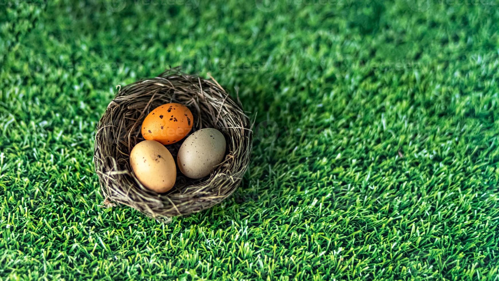 Easter eggs in a natural nest on a green background with grass texture. View from above. Banner photo