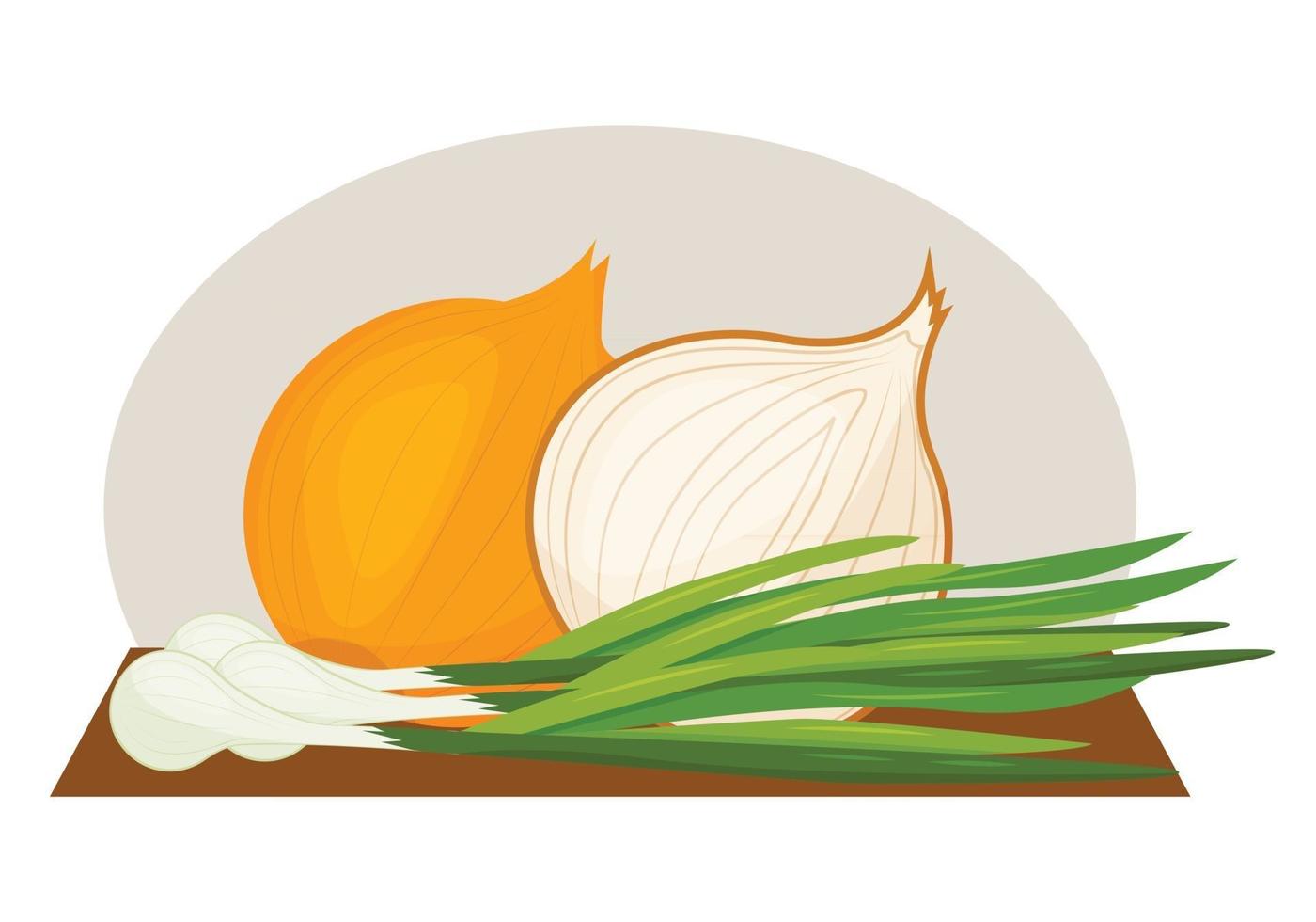 Vector image of a ripe onion. Green onions. Onion in the cut.