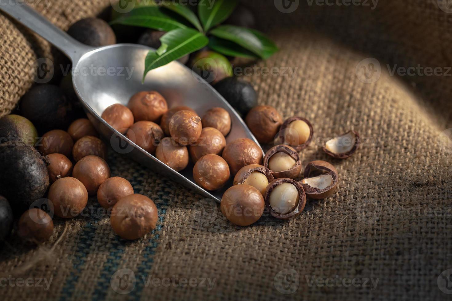 Macadamia nuts on sackcloth in dark light photo