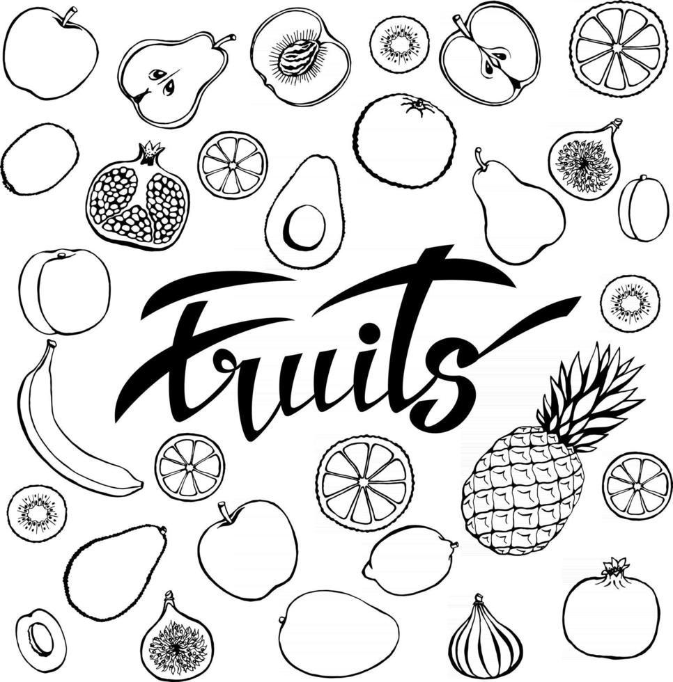 Vector background of healthy food. Poster or banner with hand-made fruit and lettering fruits.