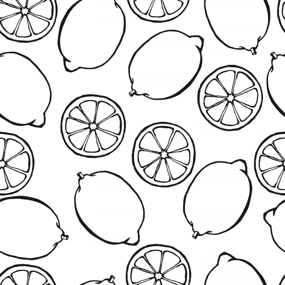 Seamless pattern with hand drawn fruits lemon elements. Vegetarian wallpaper. For design packaging, textile, background, design postcards and posters. vector