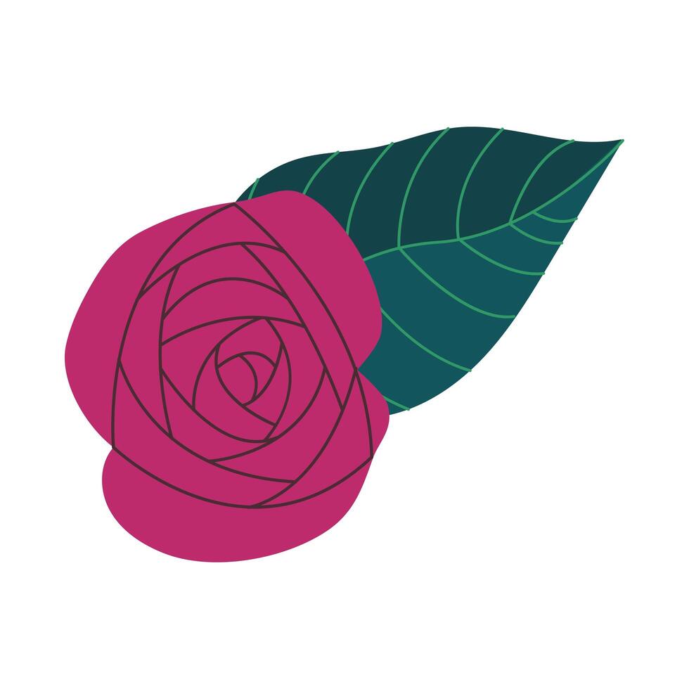 beautiful rose flower vector