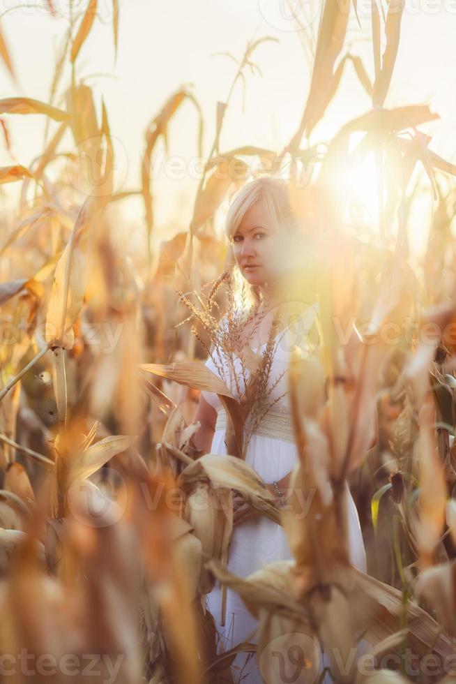 mujer con un vestido largo de verano blanco camina sobre un campo de maíz y posando al atardecer. foto