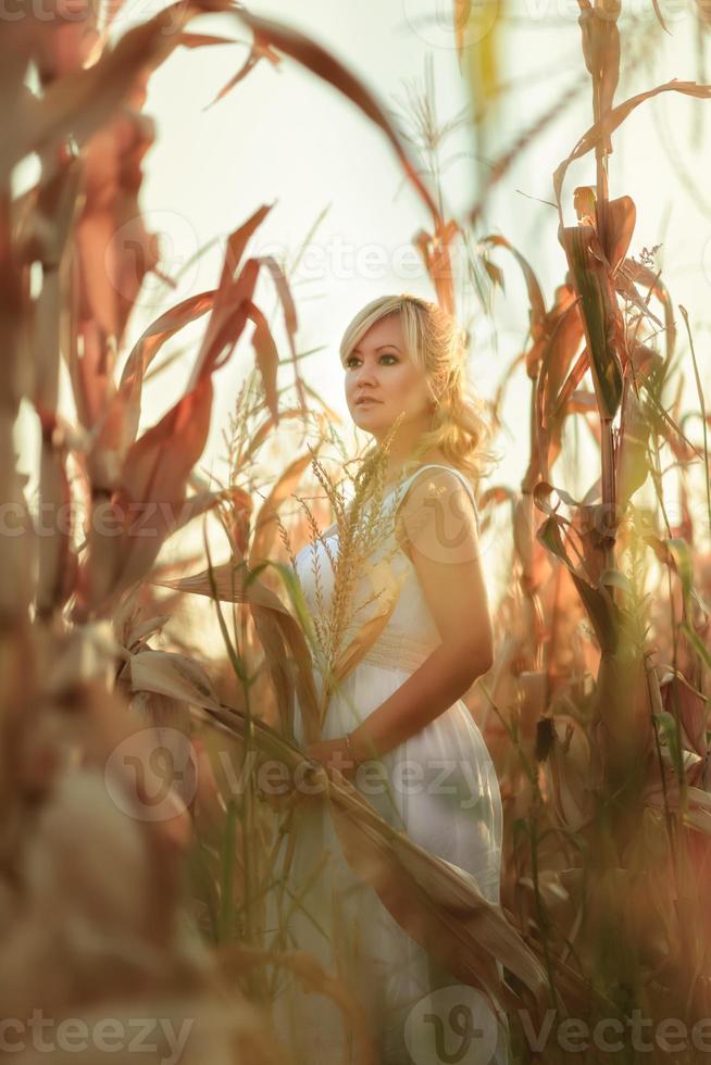 Woman in a white summer long dress walks on a cornfield and posing in sunset time. photo