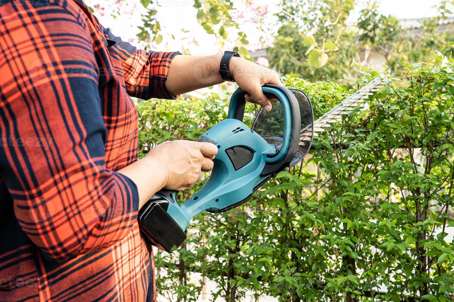 Gardener holding electric hedge trimmer to cut the treetop in garden. photo