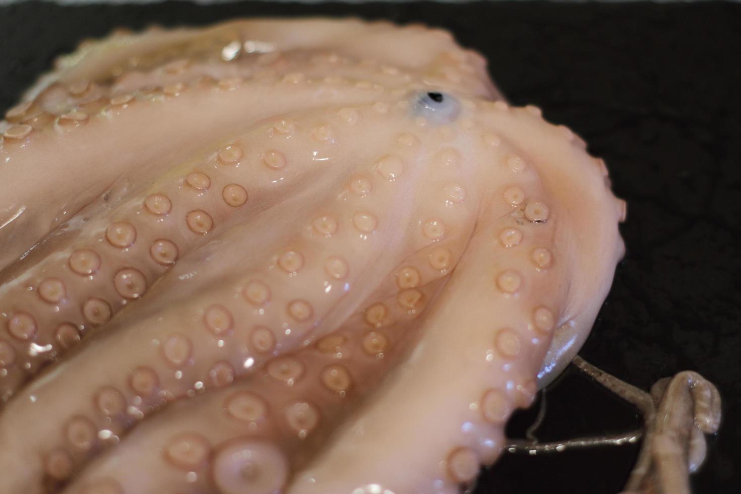 raw fresh octupus, seafood at home cooking, tasty ocean animal photo