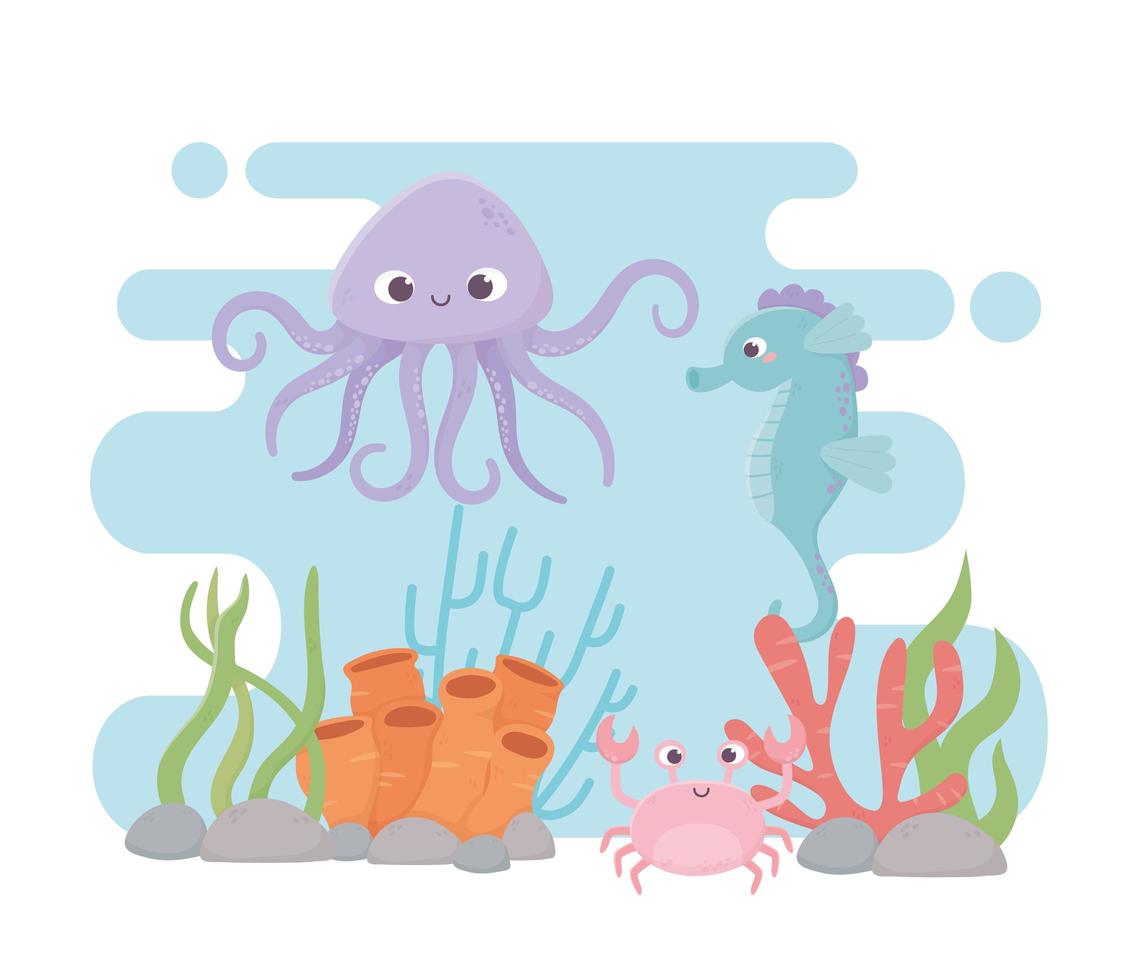 octopus seahorse crab life coral reef cartoon under the sea vector