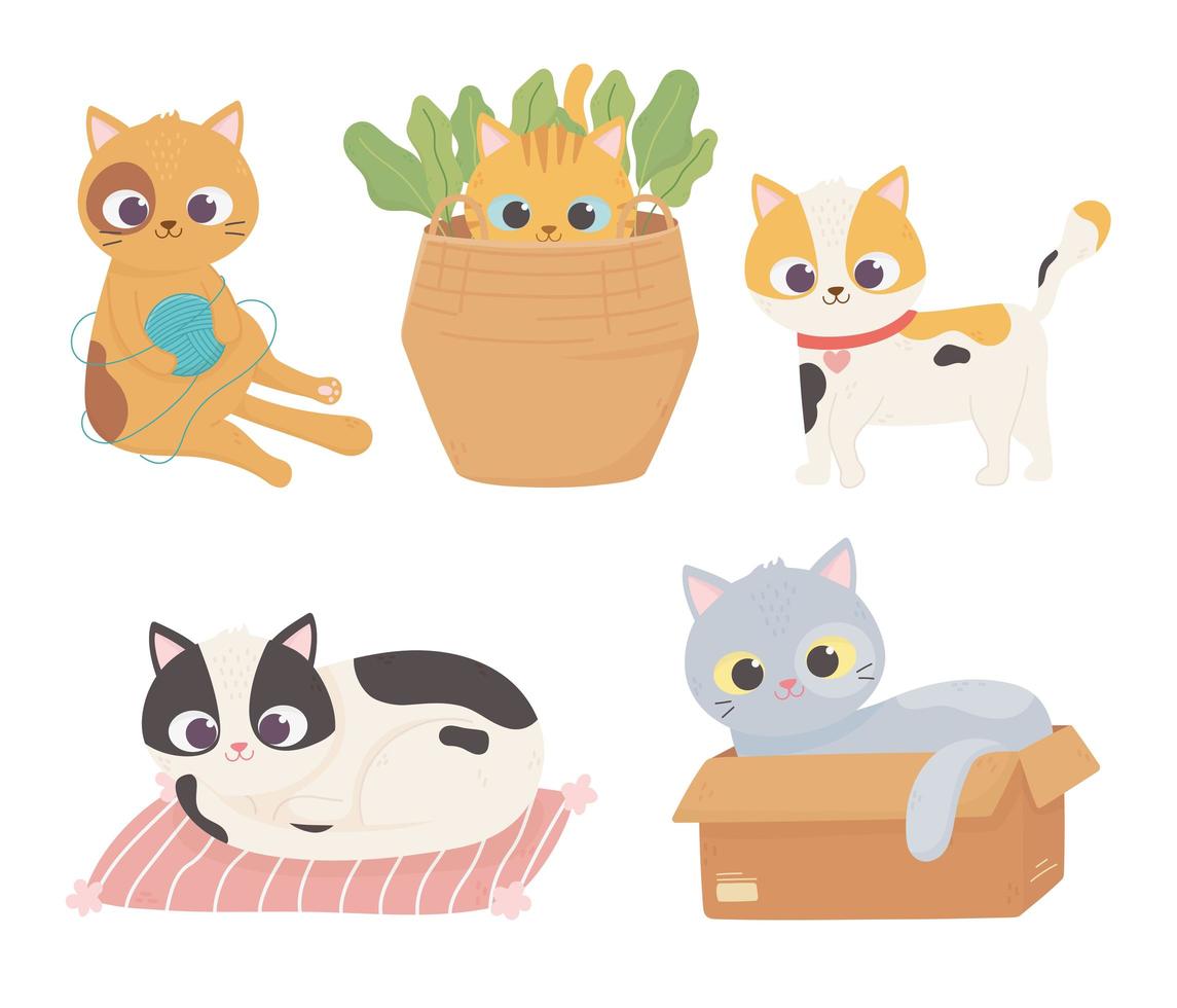 Mascota gatos bola de lana caja de cartón cojín cesta mascota dibujos animados vector