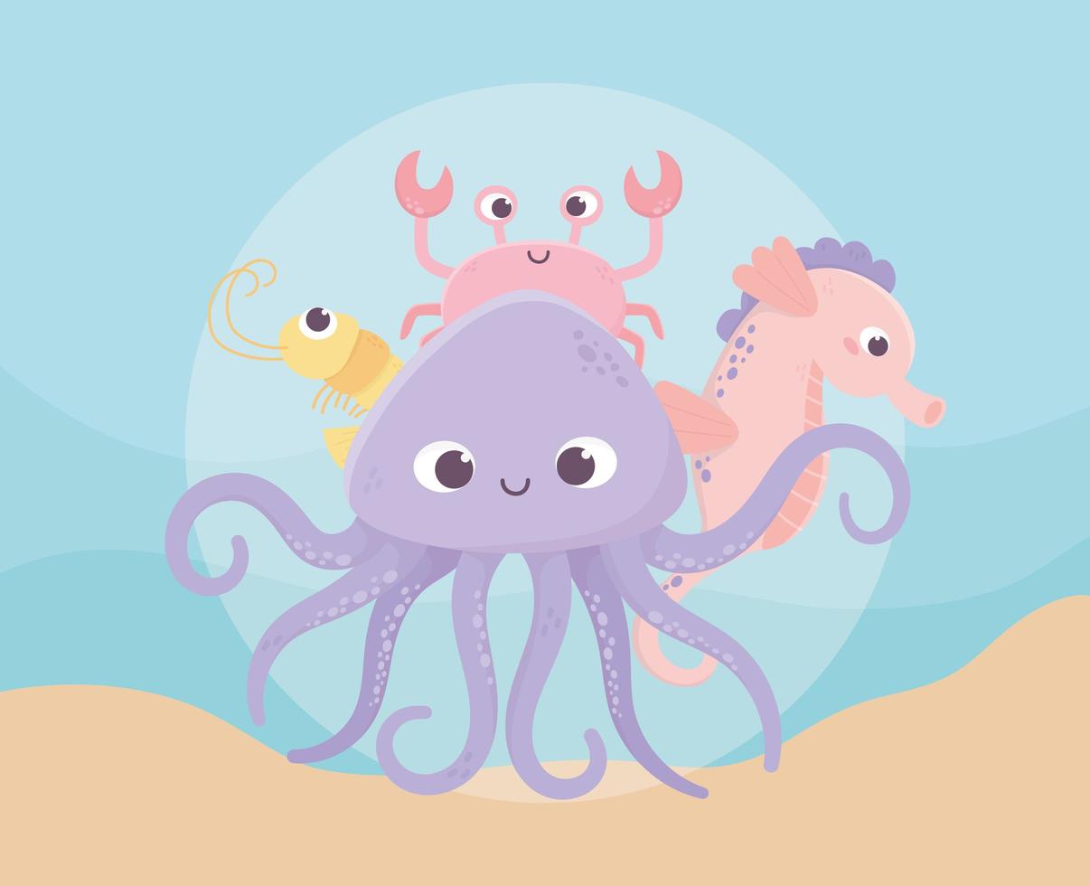 octopus seahorse crab and shrimp life cartoon under the sea vector