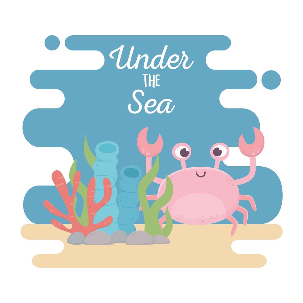 crab life coral reef algae stones cartoon under the sea vector