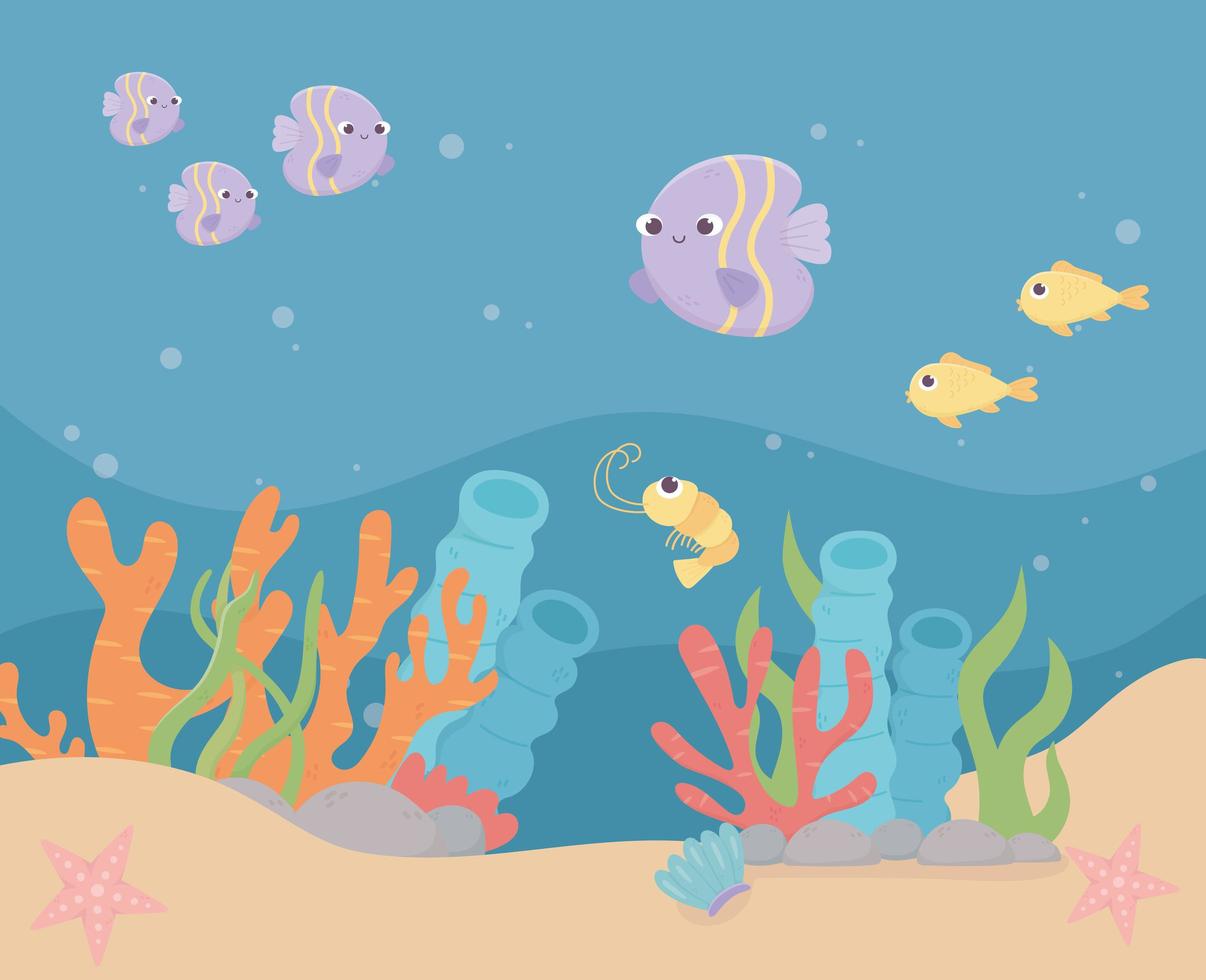 fishes shrimp starfishes life coral reef cartoon under the sea vector