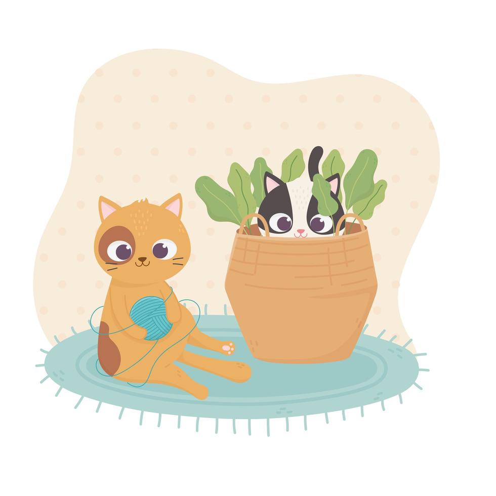 gato mascota sentado con una bola de lana y otra en la cesta de dibujos animados vector