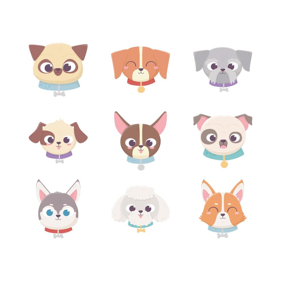 cute heads breeds domestic cartoon animal, set pets vector