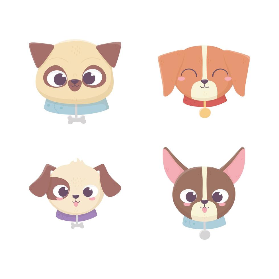 caras lindas perro diferente pedigrí animal doméstico de dibujos animados, mascotas de colección vector