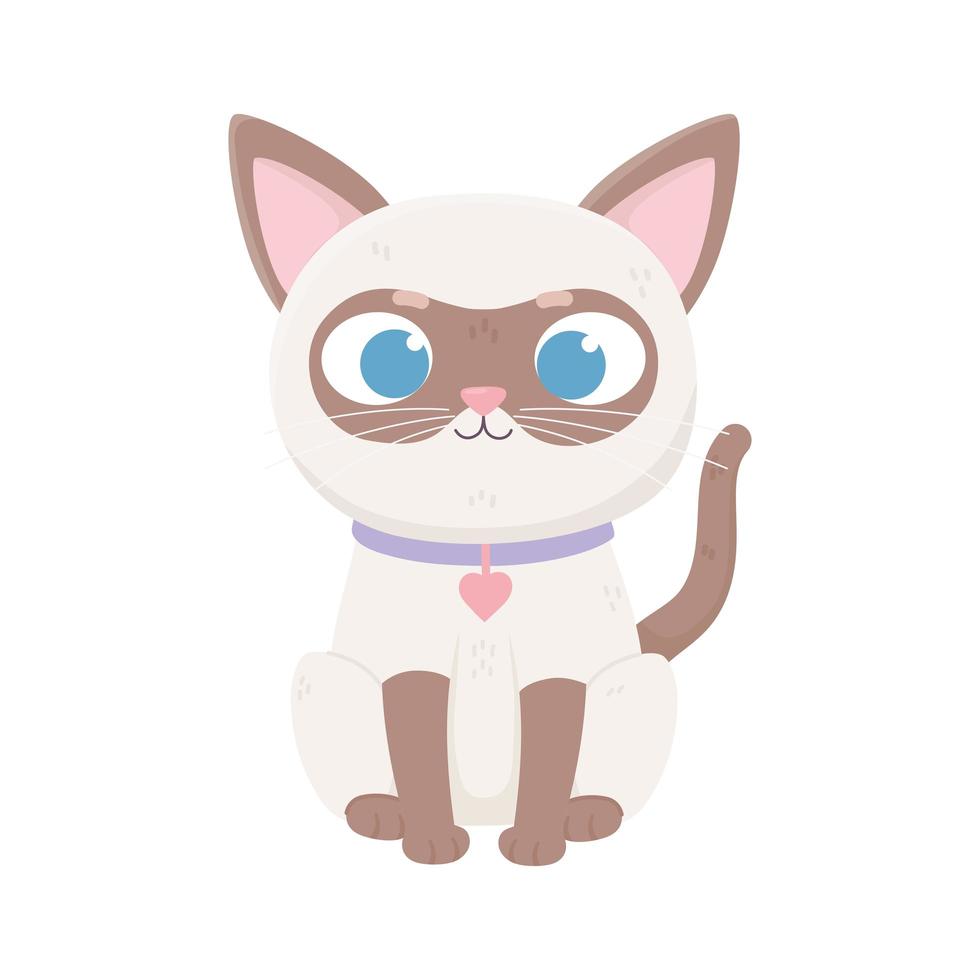 siamese cat with collar heart , pets vector