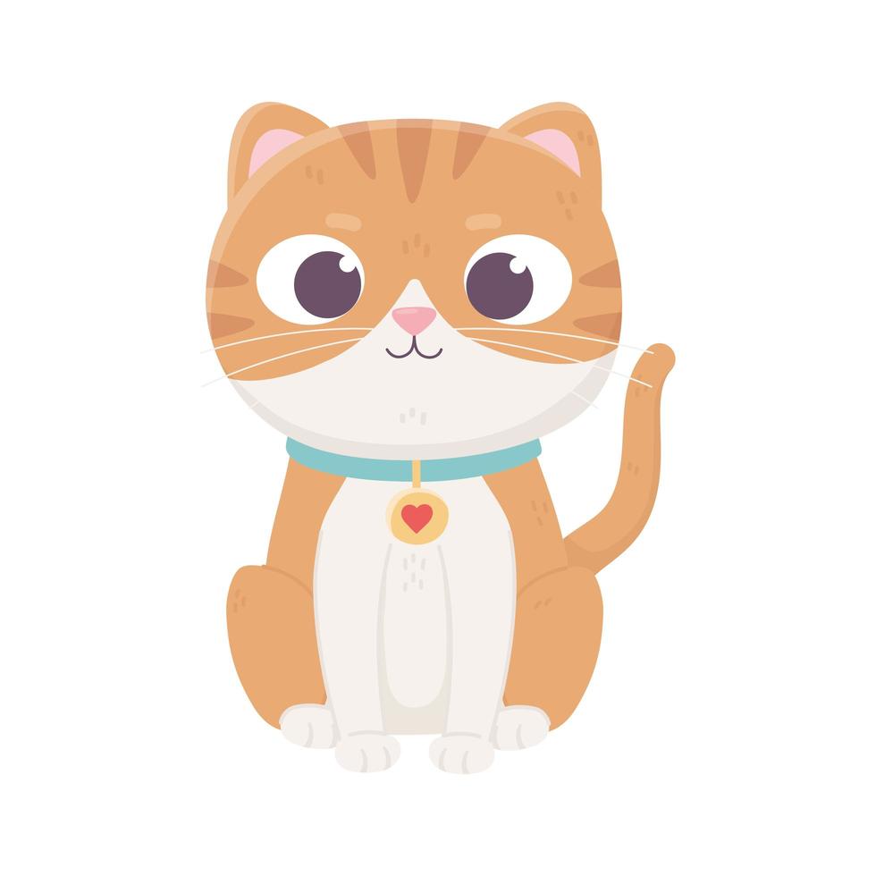 cute little cat with collar domestic, pets vector