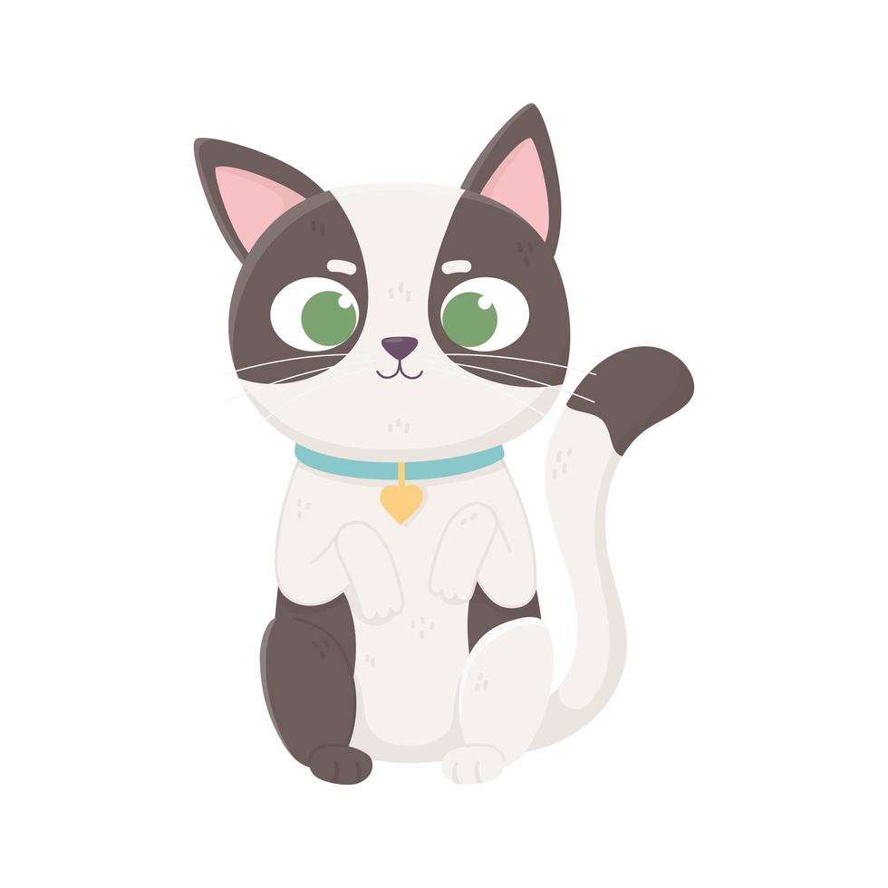 little cat spotted with collar domestic, pets vector
