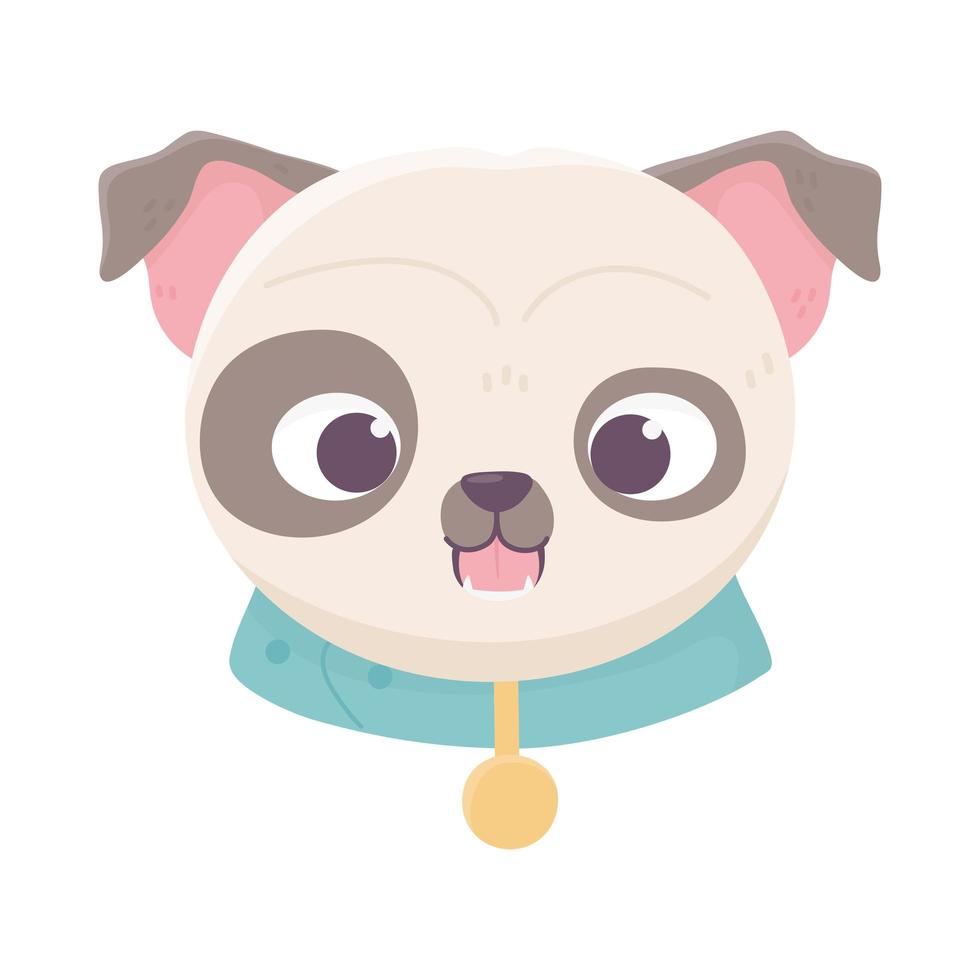 cute face dog collar medallion domestic cartoon animal, pets vector