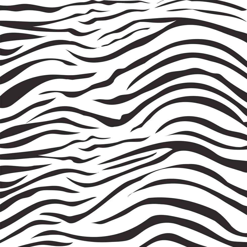 animal skin print pattern, zebra fur wild jungle design vector