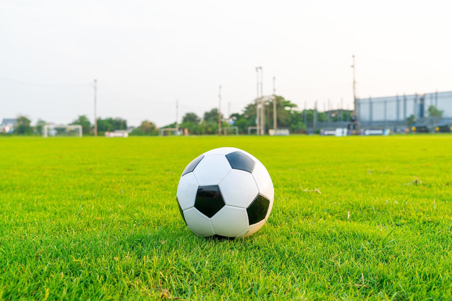 Soccer ball on the ball field photo