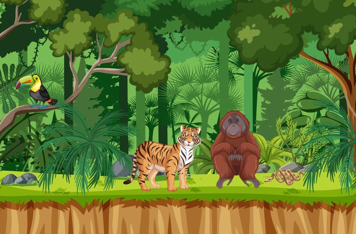 Tropical rainforest scene with various wild animals vector