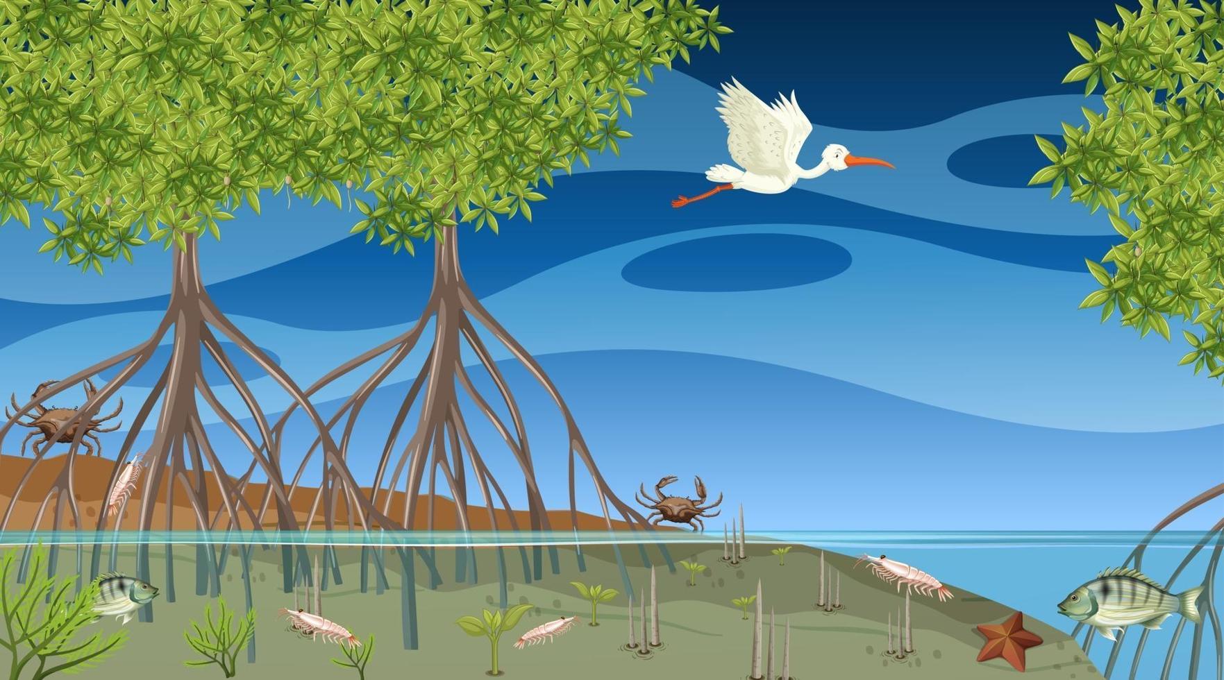 Animals live in mangrove forest at night scene vector