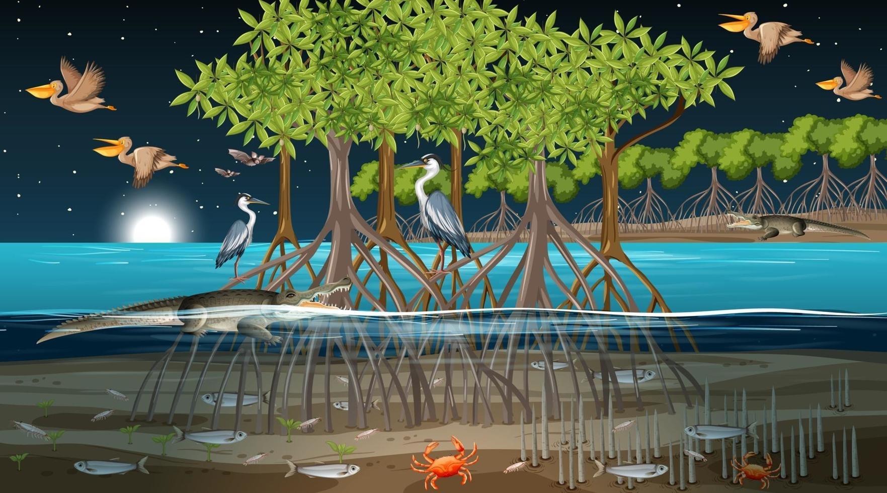 Mangrove forest landscape scene at night with many different animals vector