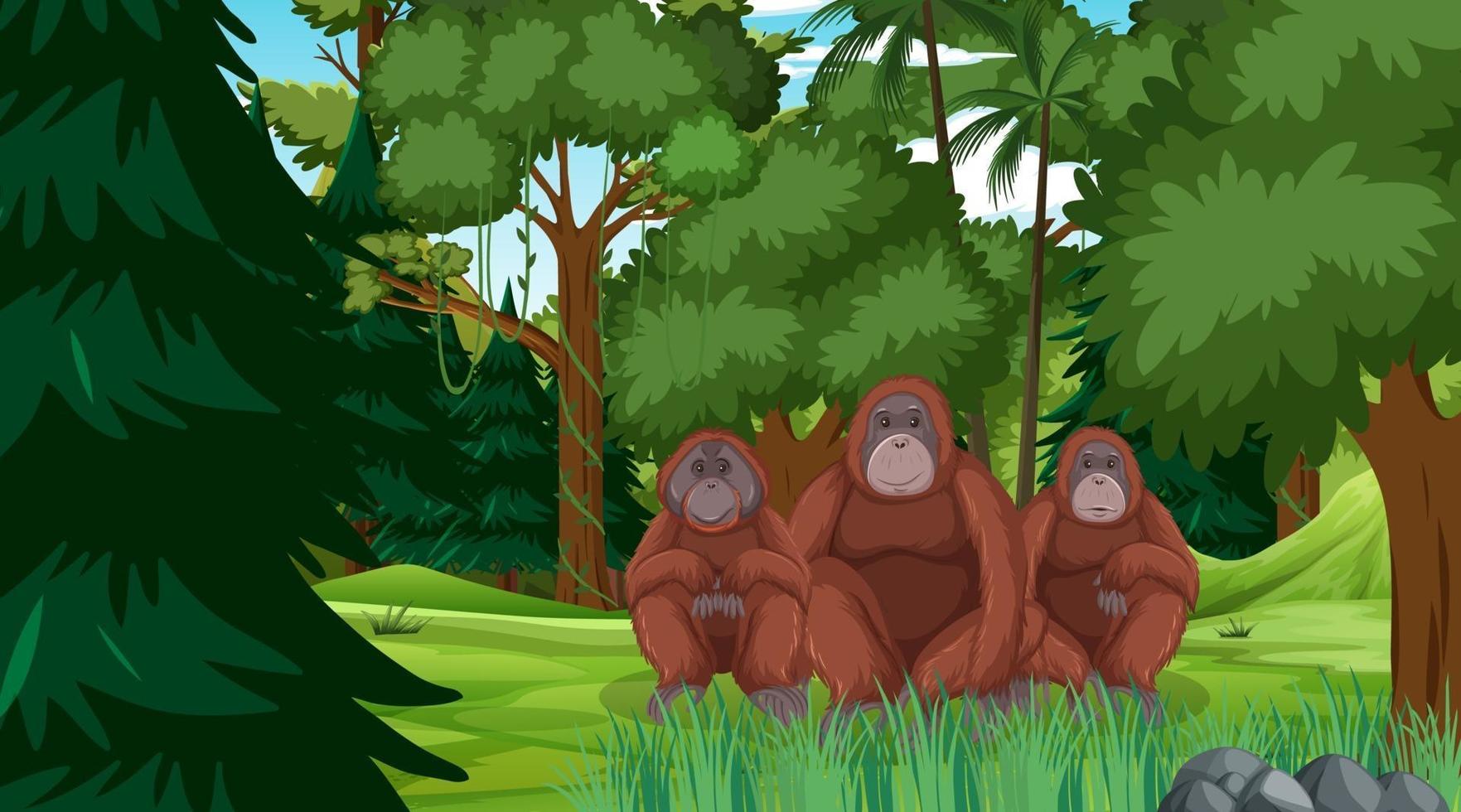 orangután en el bosque o la escena de la selva tropical con muchos árboles vector