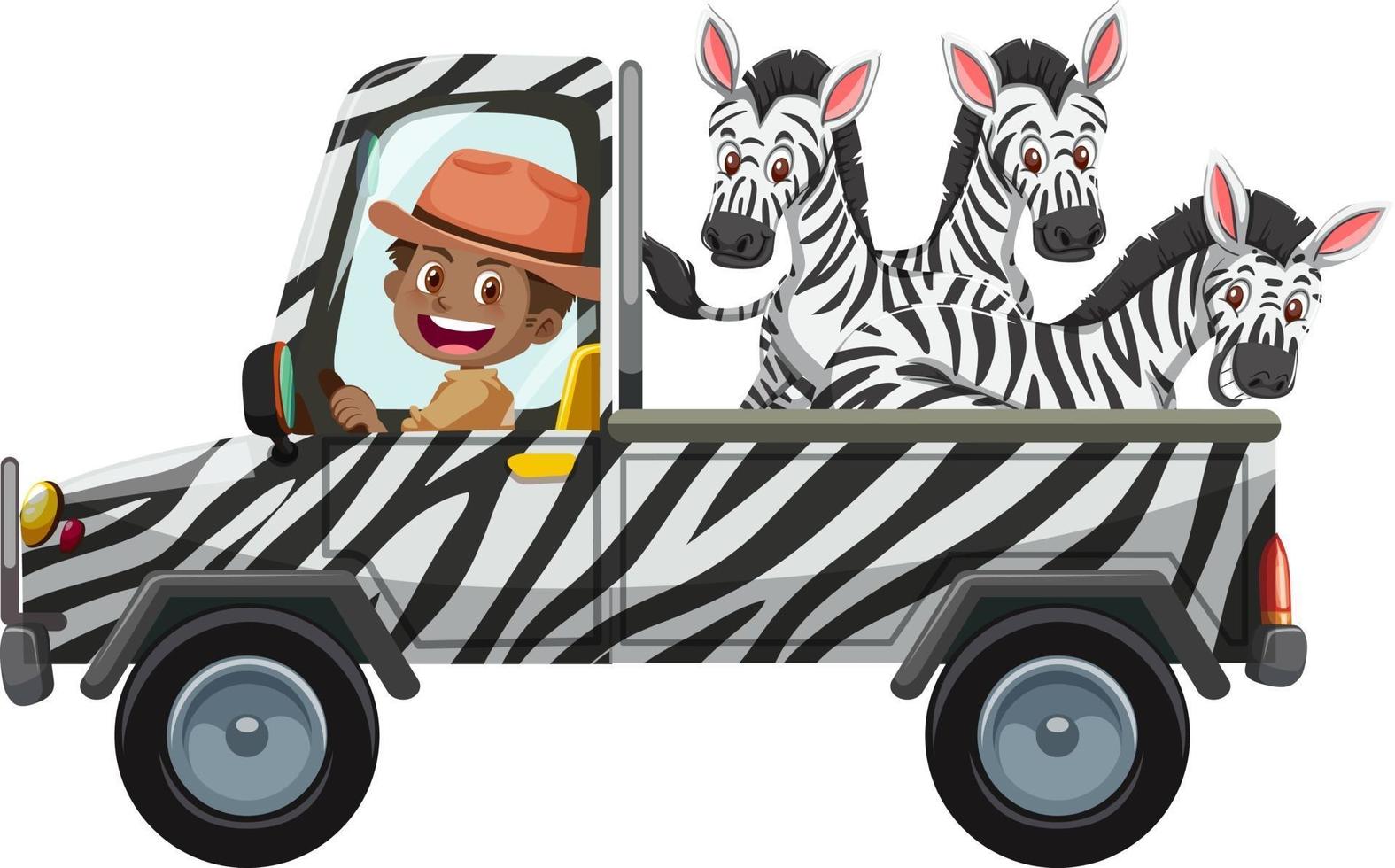 Concepto de zoológico con grupo cebra en el coche aislado sobre fondo blanco. vector
