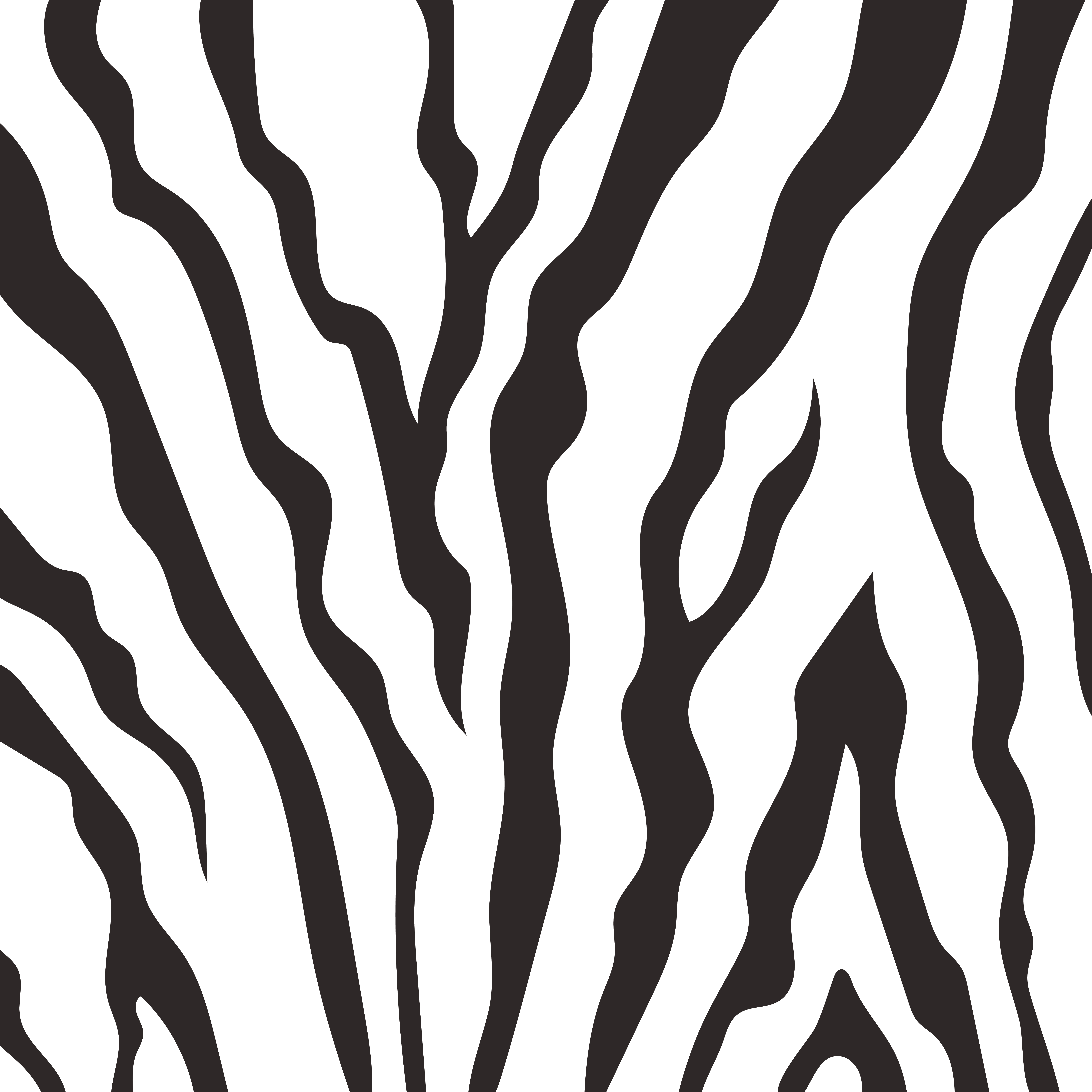 animal skin print pattern, zebra skin detail and texture 2674476 Vector Art  at Vecteezy