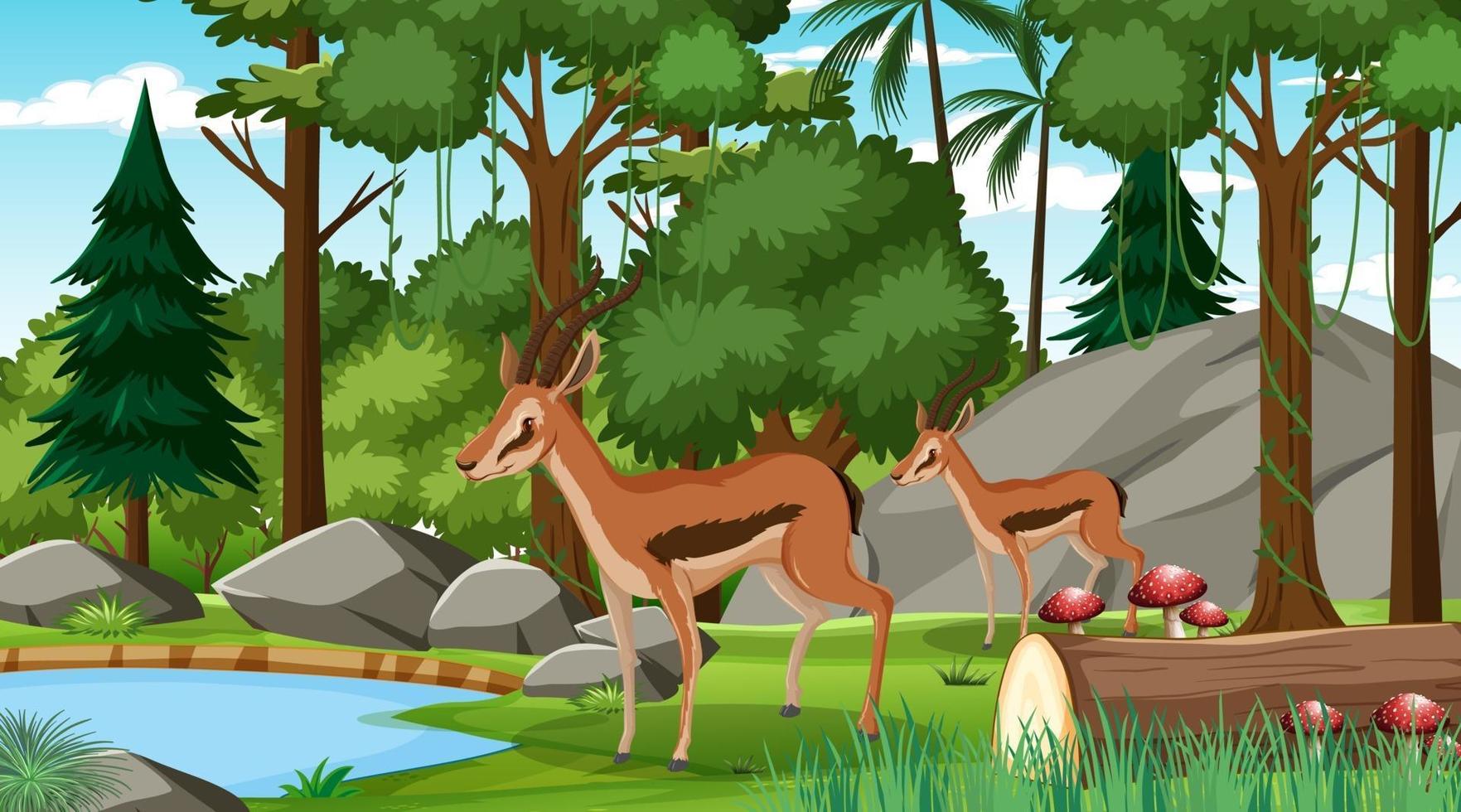 dos impalas en el bosque en la escena diurna con muchos árboles vector