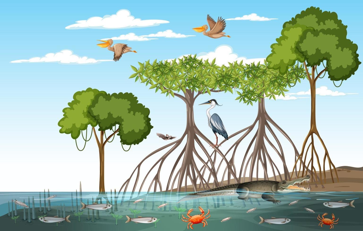 Mangrove forest scene at daytime with animals vector