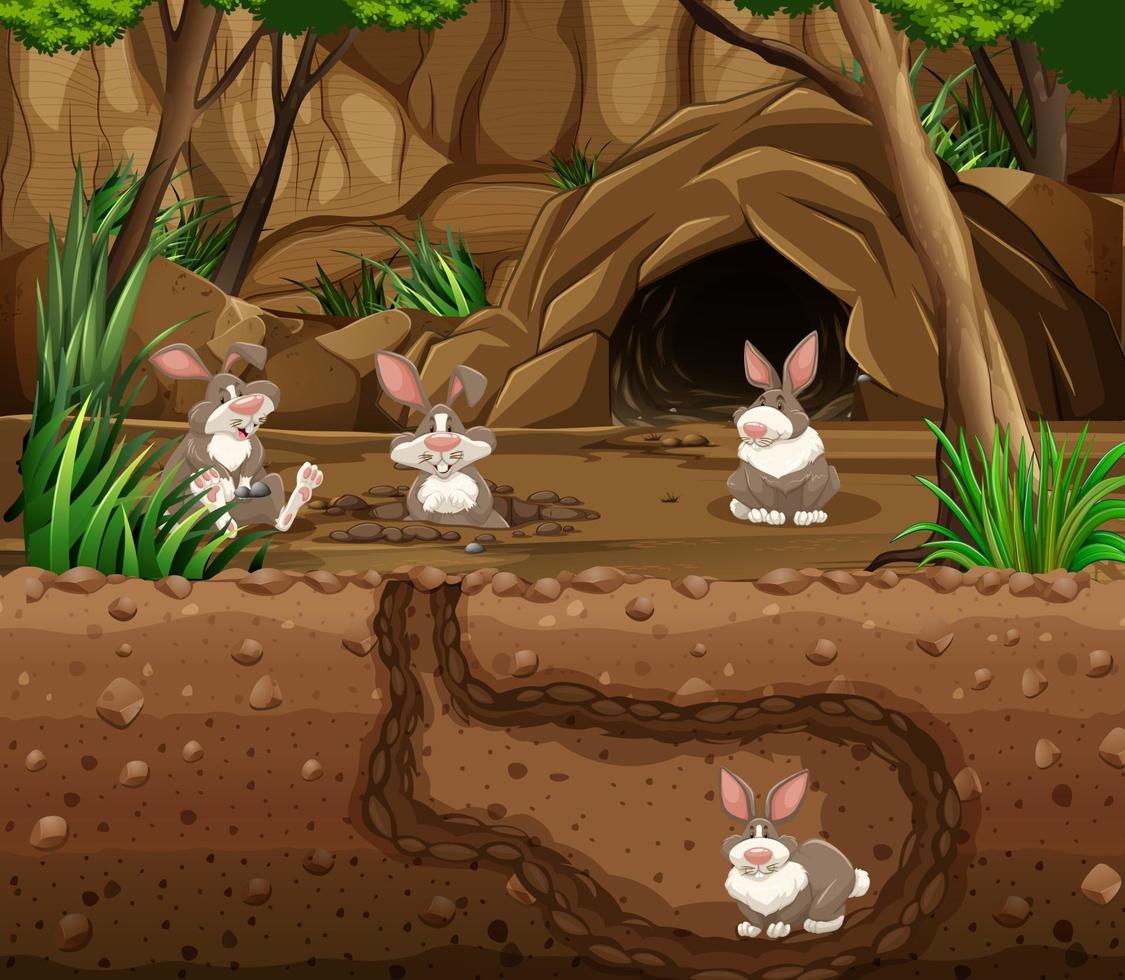 Underground animal burrow with rabbit family vector