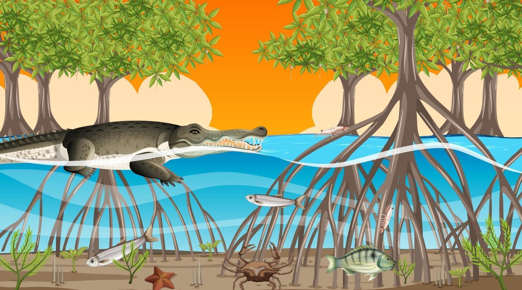 Animals live in Mangrove forest at sunset time scene vector