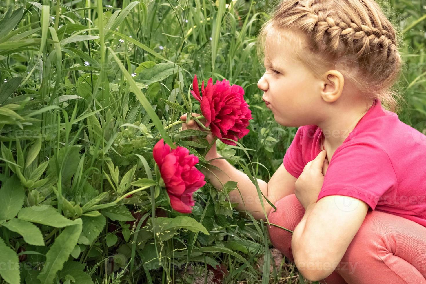 A little girl sits by a flower bed in the garden and sniffs bright pink peonies photo