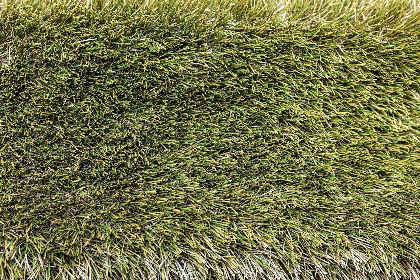 Fondo de hierba verde de primavera. textura. fondo foto