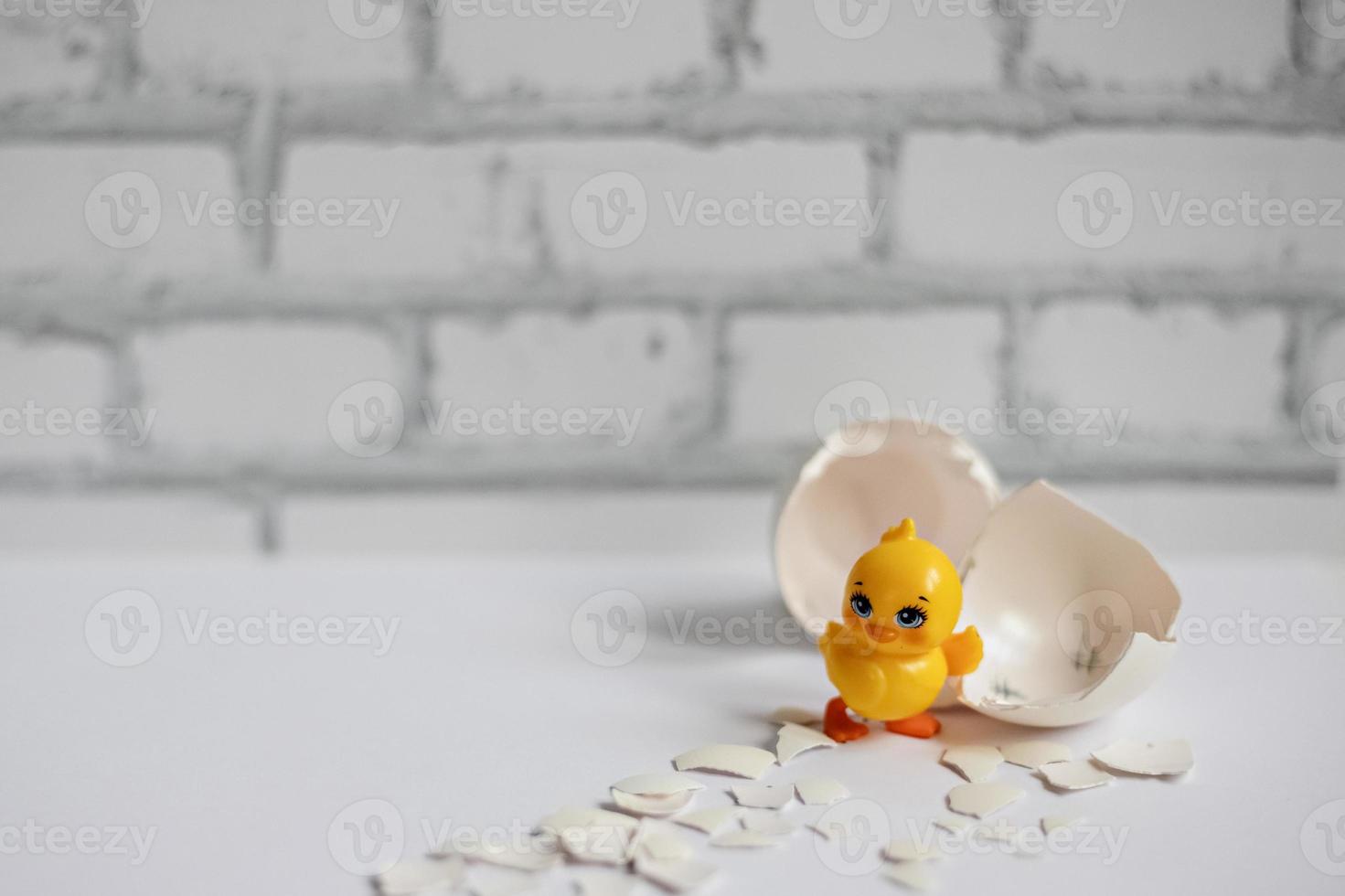 cáscara de huevo blanco de un huevo de gallina roto con fragmentos y un pollo eclosionado aislado. Pascua de Resurrección foto